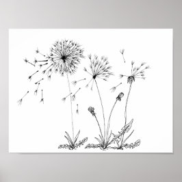 Dandelions Poster