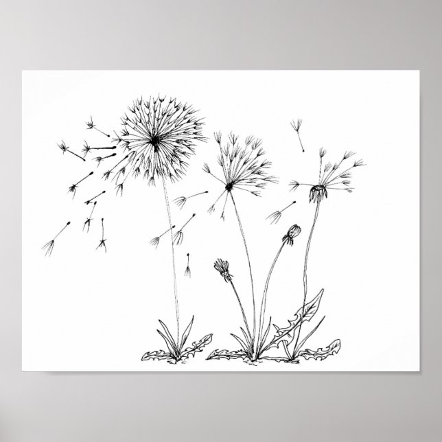 Dandelions Poster (Framsidan)