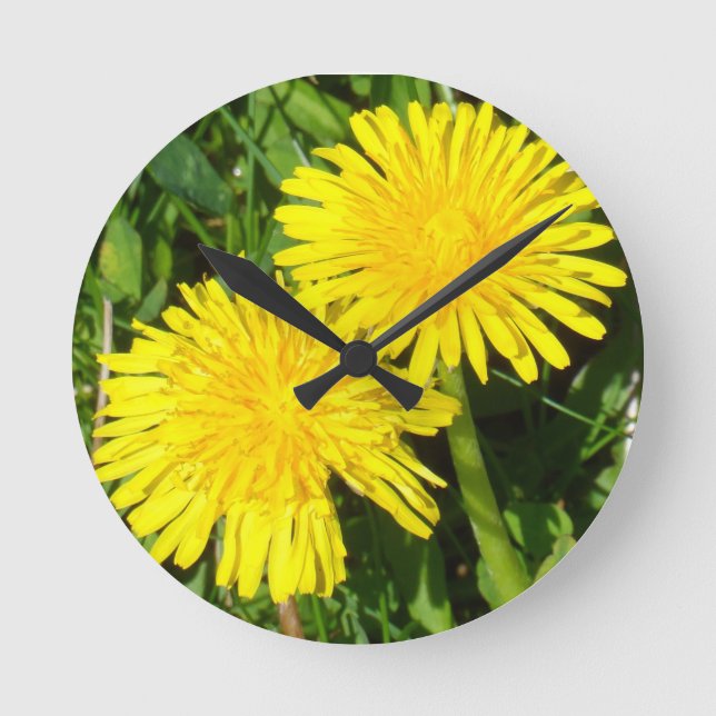 Dandelions Rund Klocka (Framsida)