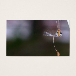 Dandelions Visitkort