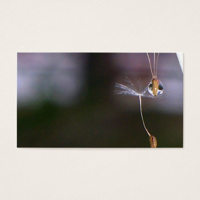 Dandelions Visitkort (Framsidan)