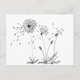 Dandelions Vykort