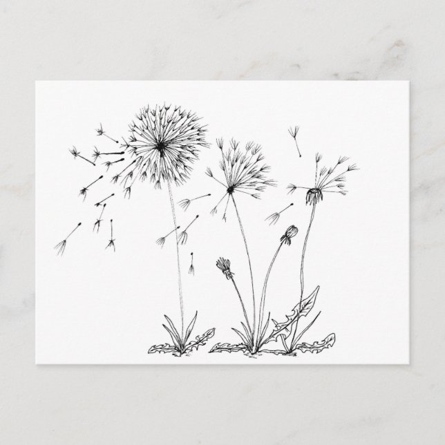 Dandelions Vykort (Framsida)