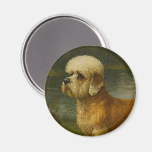 Dandi Dinmont Terrier