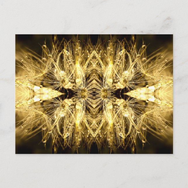 dandiana Postcard Vykort (Framsida)