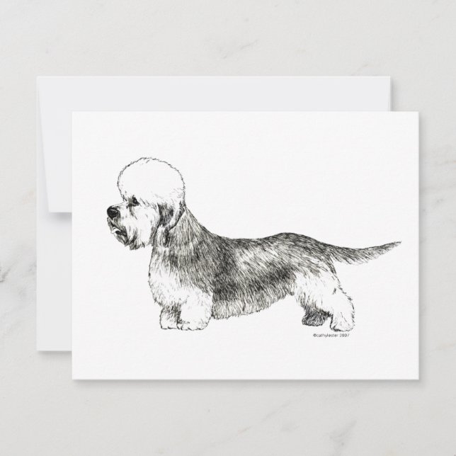 Dandie Dinmont Terrier (Framsida)