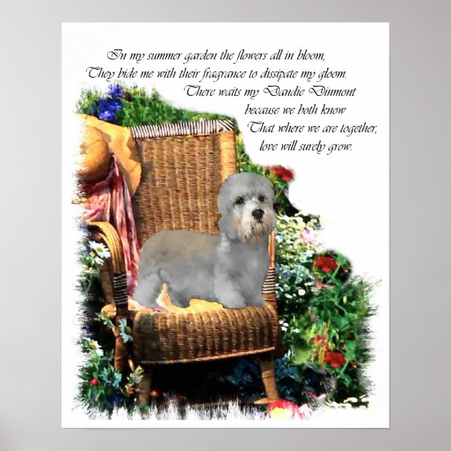 Dandie Dinmont Terrier Art Print Poster (Framsidan)