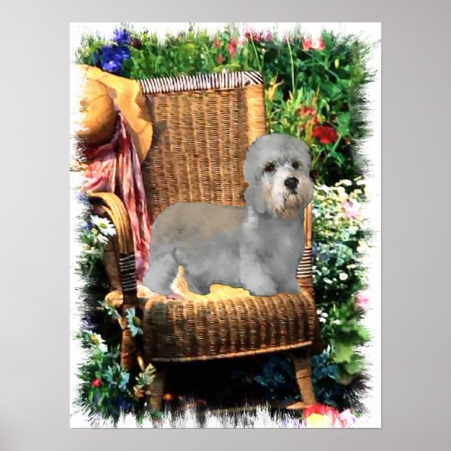 Dandie Dinmont Terrier Art Print Poster (Framsidan)