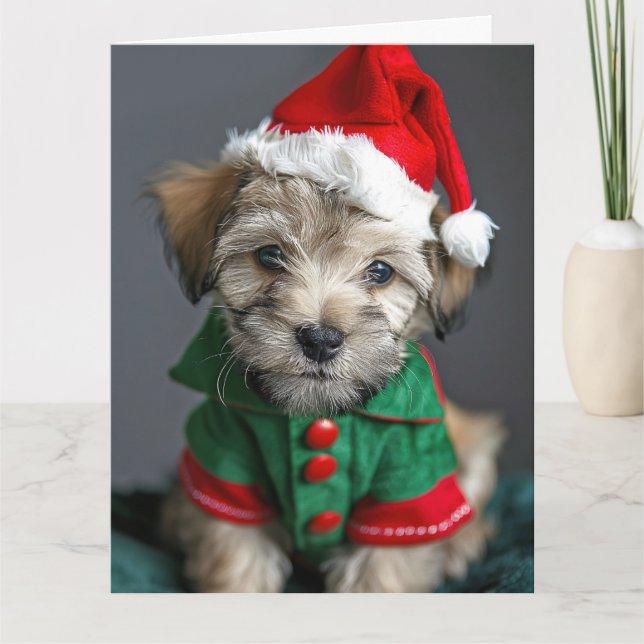 Dandie Dinmont Terrier Elf Puppy-julkort Kort (Framsida)