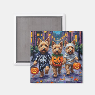 Dandie Dinmont Terrier Halloweenkul Magnet