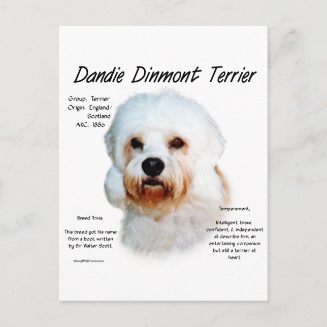 Dandie Dinmont Terrier History Design Vykort (Framsida)