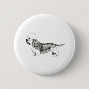 Dandie Dinmont Terrier Knapp
