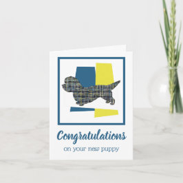 Dandie Dinmont Terrier Puppy Hund Grattiss Kort