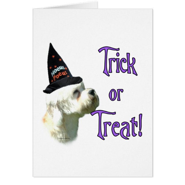 Dandie Dinmont Terrier Trick Hälsningskort (Framsidan)