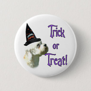 Dandie Dinmont Terrier Trick Knapp