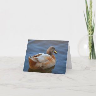 Dandy Anka Note Card Kort