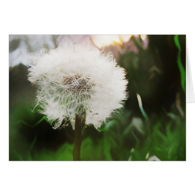 Dandy drömkort hälsningskort (Framsidan Horizontal)