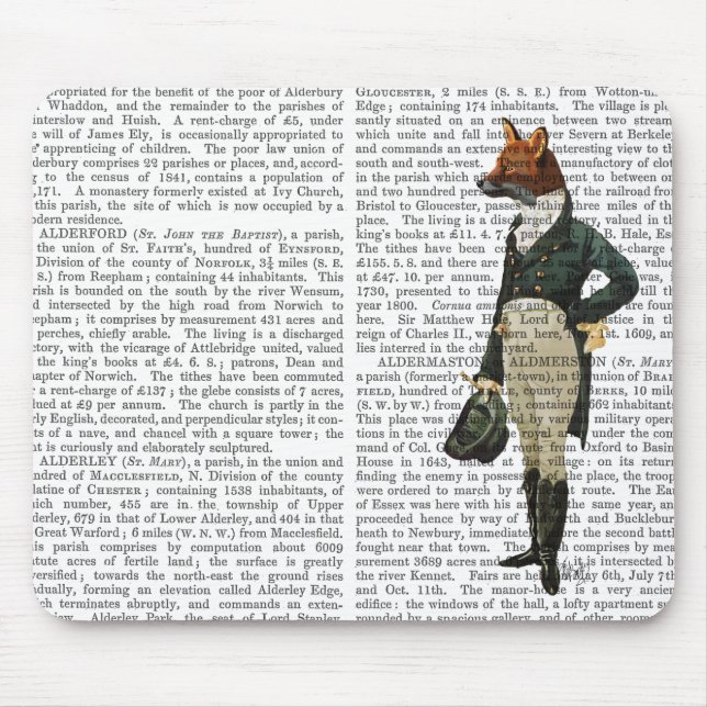 Dandy Fox Fullt 2 Musmatta (Framsidan)