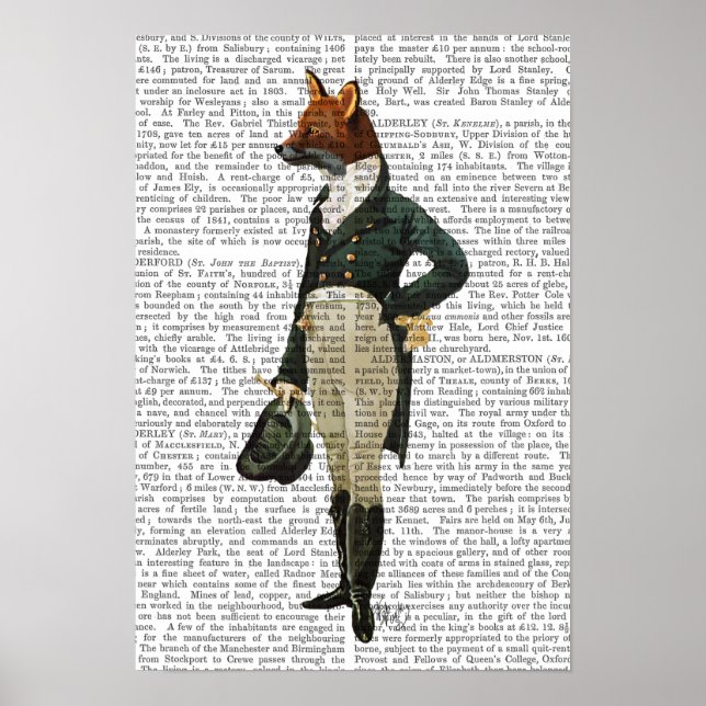 Dandy Fox Fullt Poster (Framsidan)