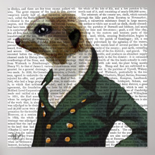 Dandy Meerkat Porträtt Poster