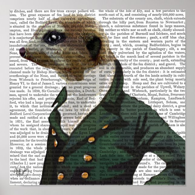 Dandy Meerkat Porträtt Poster (Framsidan)