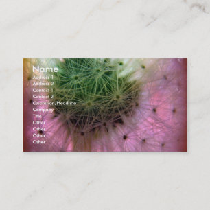 Dandy Seeds Visitkort