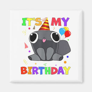 Dandys Pebble Birthday Dekoration World För barn B Magnet