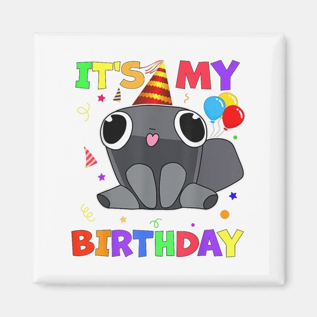 Dandys Pebble Birthday Dekoration World För barn B Magnet (Framsidan)