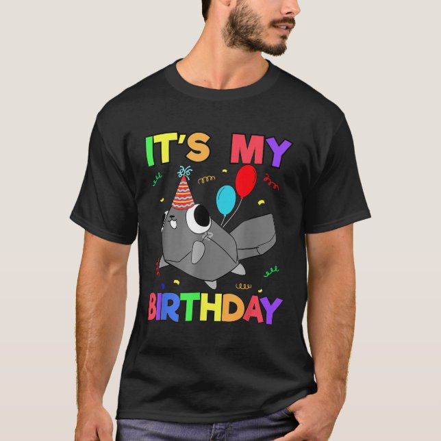 Dandys World Pebble Birthday Dekoration För barn B T Shirt (Framsida)