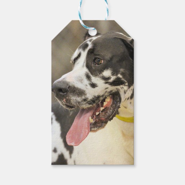 Dane Presentetikett (Framsidan)