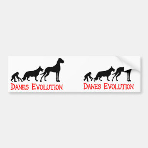 Danes Evolution Bildekal