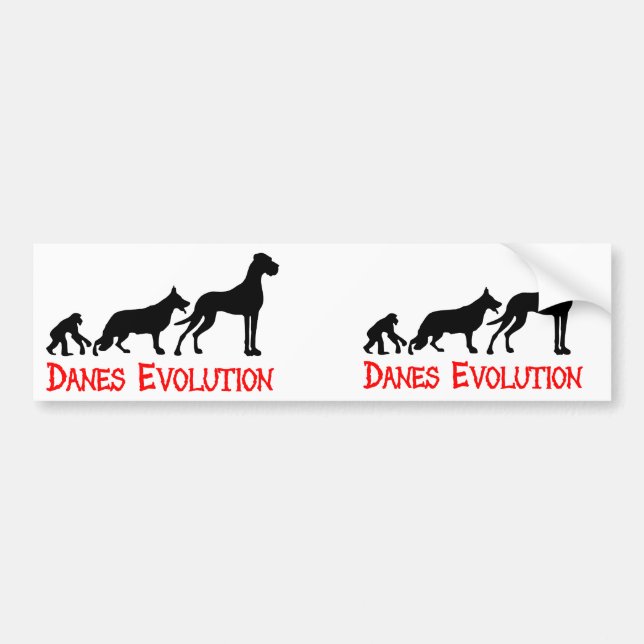 Danes Evolution Bildekal (Framsidan)