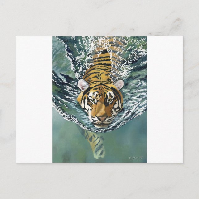 Danger Ahoy! Vykort (Framsida)