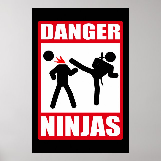 Danger Ninjas Poster (Framsidan)