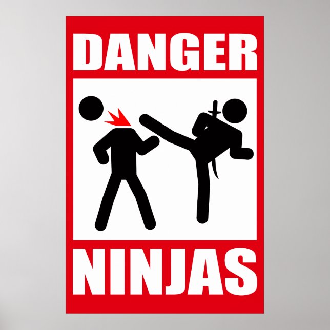 Danger Ninjas Poster (Framsidan)