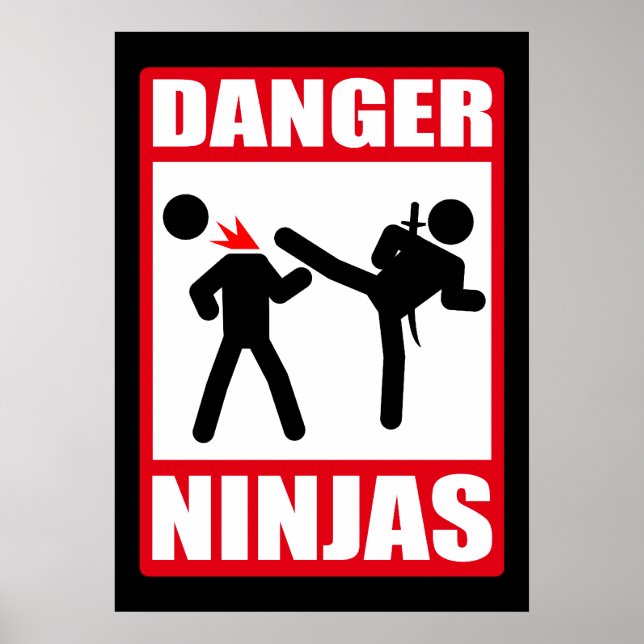 Danger Ninjas Poster (Framsidan)