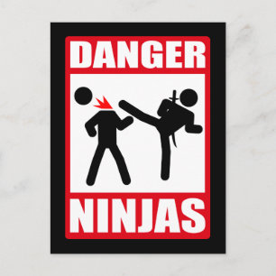 Danger Ninjas Vykort