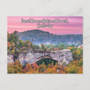 Daniel Boone National Forest Kentucky Postcard Vykort