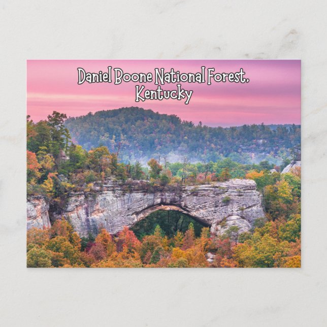 Daniel Boone National Forest Kentucky Postcard Vykort (Framsida)