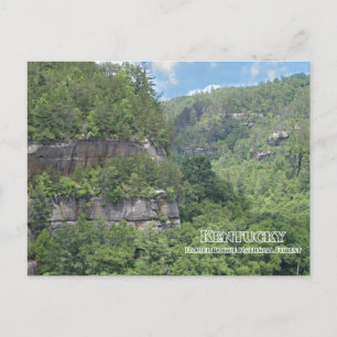 Daniel Boone National Forest Overlook Vykort