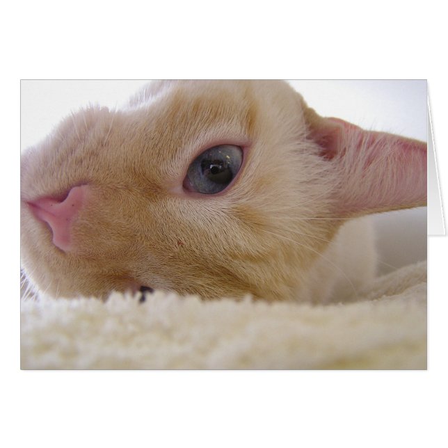 Daniel Hälsningskort (Framsidan Horizontal)