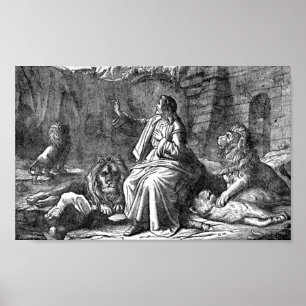 Daniel i lejon håla poster