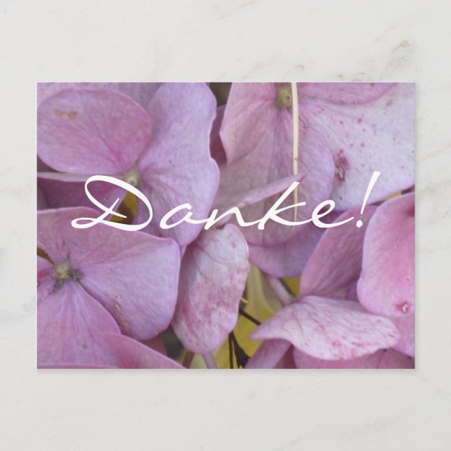 Danke! (Hortensia (rosa)) - Postkarte Vykort (Framsida)