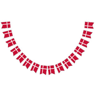 Danmark flagga