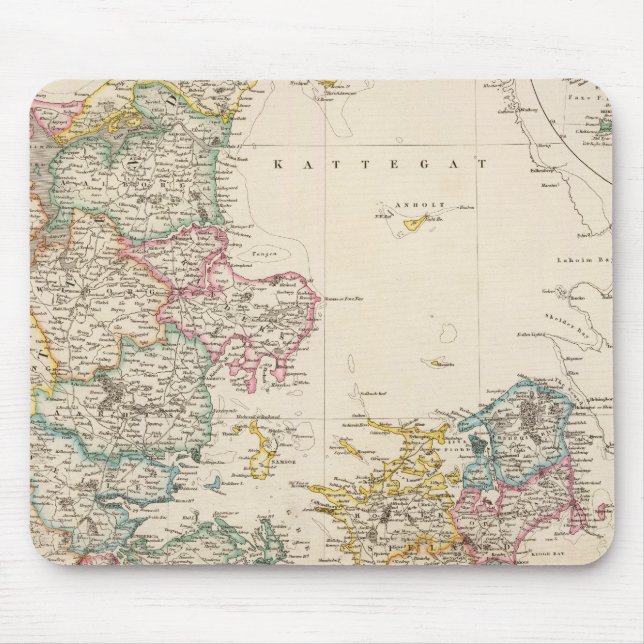 Danmark med inlandet karta i Island Musmatta (Framsidan)