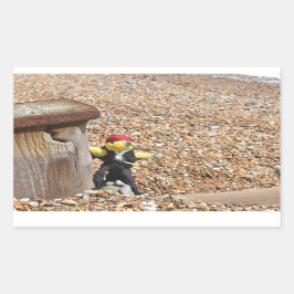 Danny Anka, den rektangulära Pirat-etiketten Rektangulärt Klistermärke