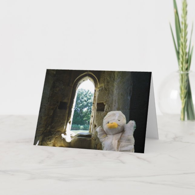 Danny Duck Mumien blankkort Kort (Framsida)