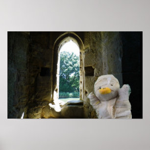 Danny Duck Mumien Poster