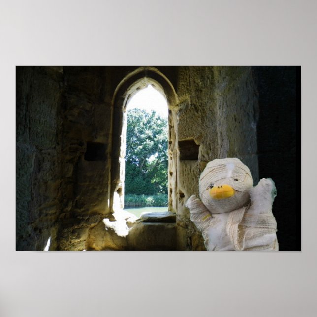 Danny Duck Mumien Poster (Framsidan)