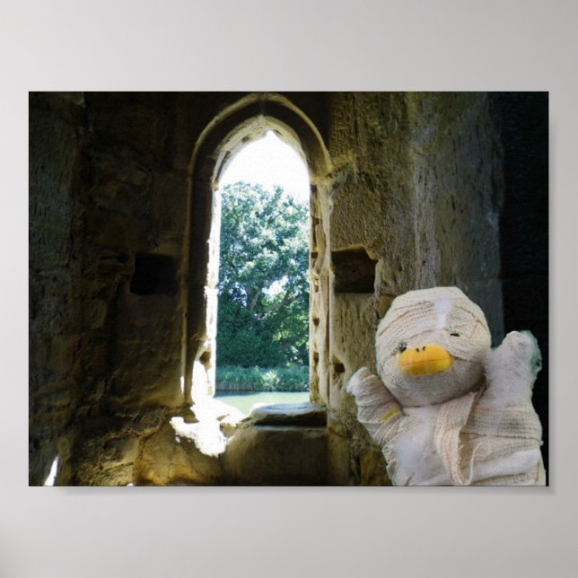 Danny Duck Mumien Poster (Framsidan)